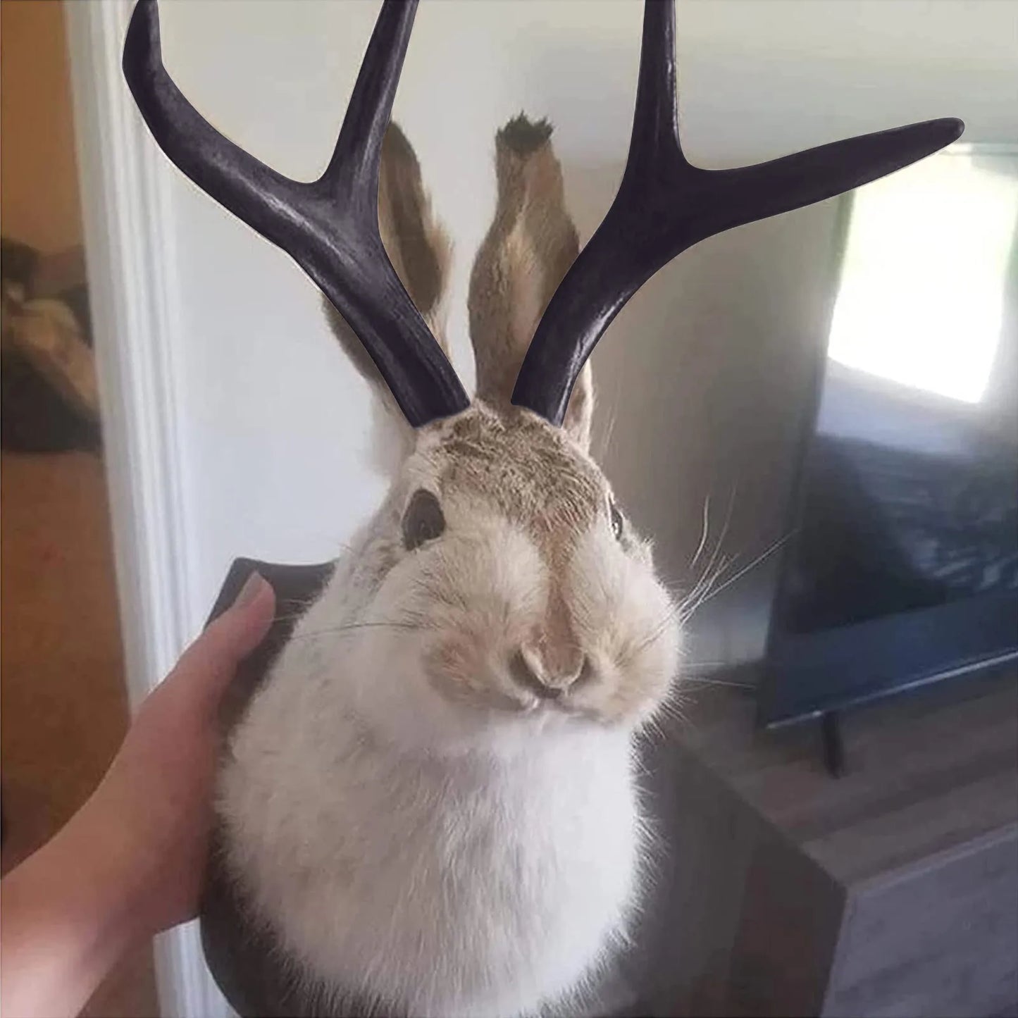 Easter Gift Bunny Head Antlers Wall Hanging Decoration Wall Decor Simulation Rabbit Specimen Resin Art Ornaments Jackalope Decor