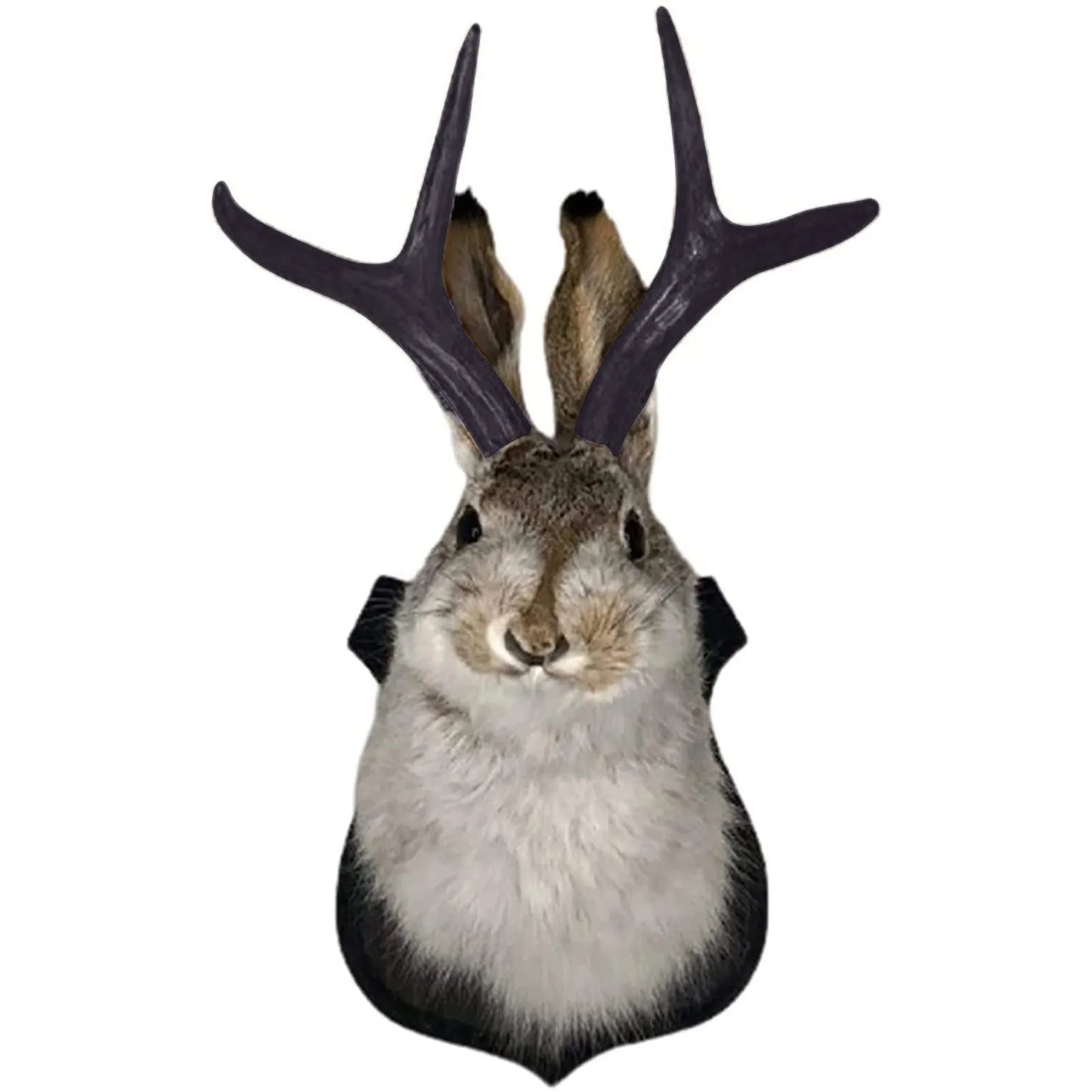Easter Gift Bunny Head Antlers Wall Hanging Decoration Wall Decor Simulation Rabbit Specimen Resin Art Ornaments Jackalope Decor