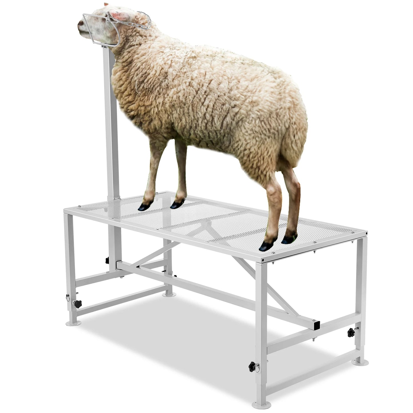 Goat Sheep Stand 51x23in Livestock Stand Metal Livestock Milking and Shearing Stand 21" to 33" Adjustable Height White