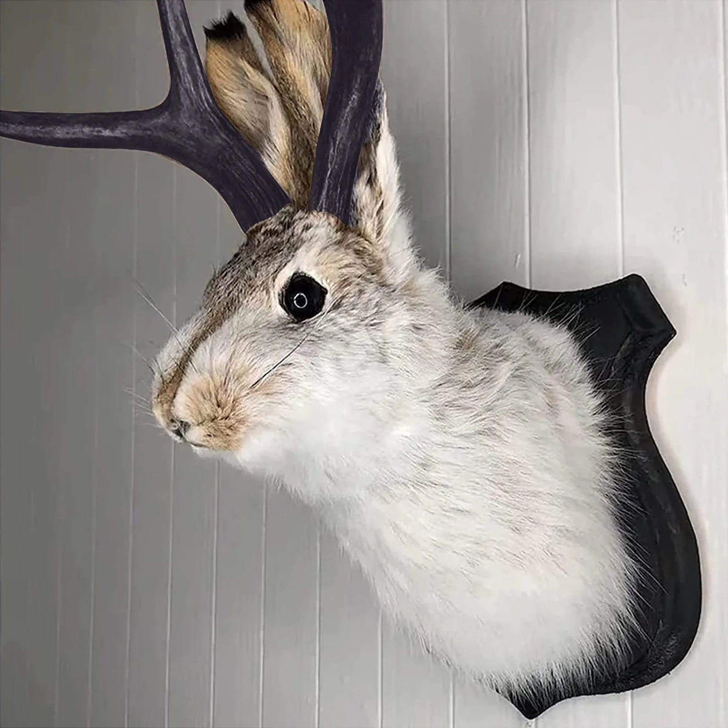 Easter Gift Bunny Head Antlers Wall Hanging Decoration Wall Decor Simulation Rabbit Specimen Resin Art Ornaments Jackalope Decor