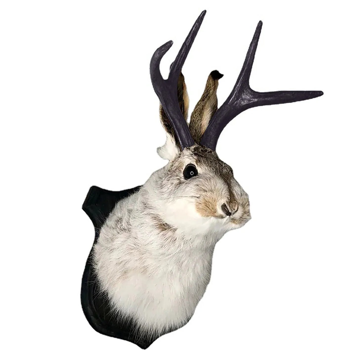 Easter Gift Bunny Head Antlers Wall Hanging Decoration Wall Decor Simulation Rabbit Specimen Resin Art Ornaments Jackalope Decor