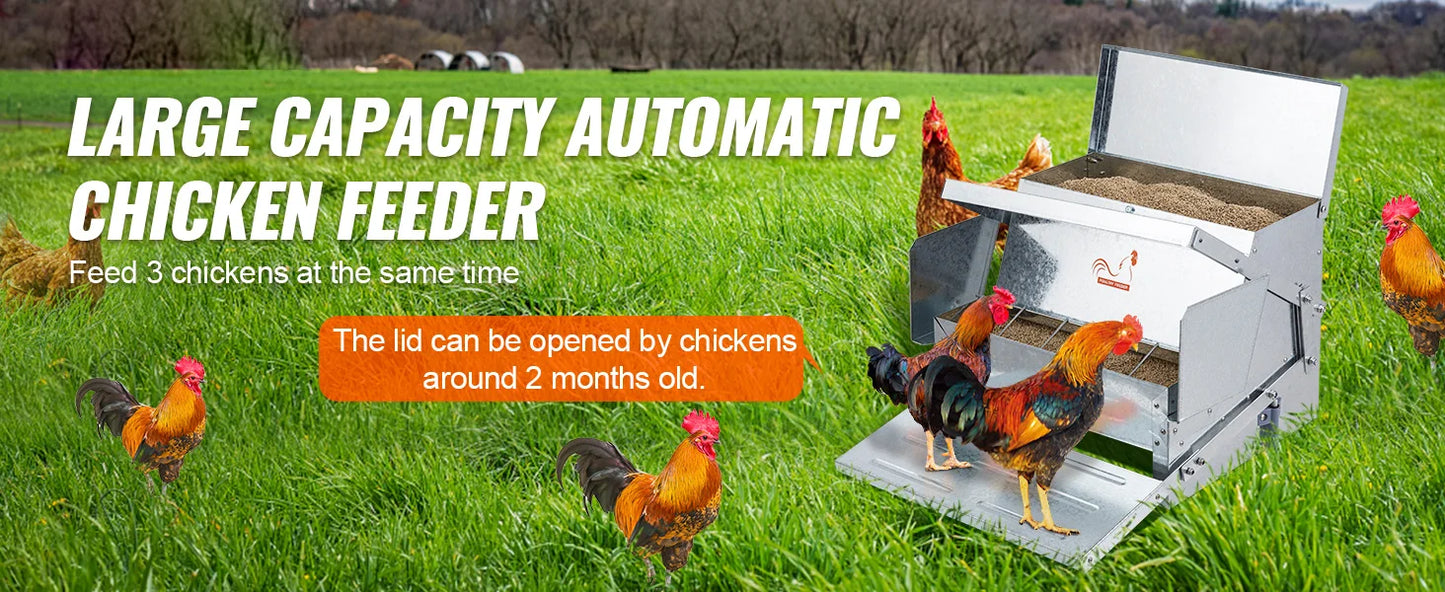 Automatic Chicken Feeder 25 lbs Capacity Feeds 10 Chickens up to 11 Days Galvanized Steel Poultry Feeder